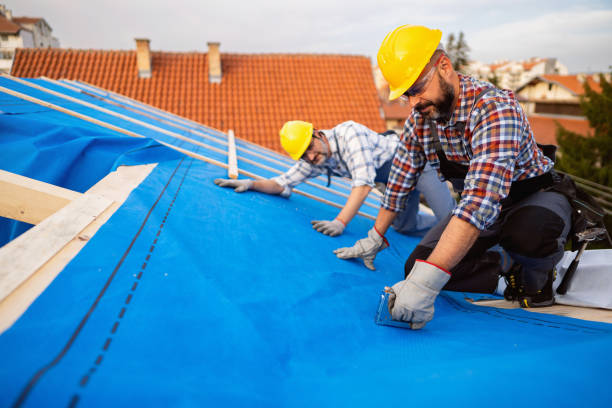 Best Chimney Flashing Repair  in French Valley, CA